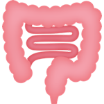 intestines icon